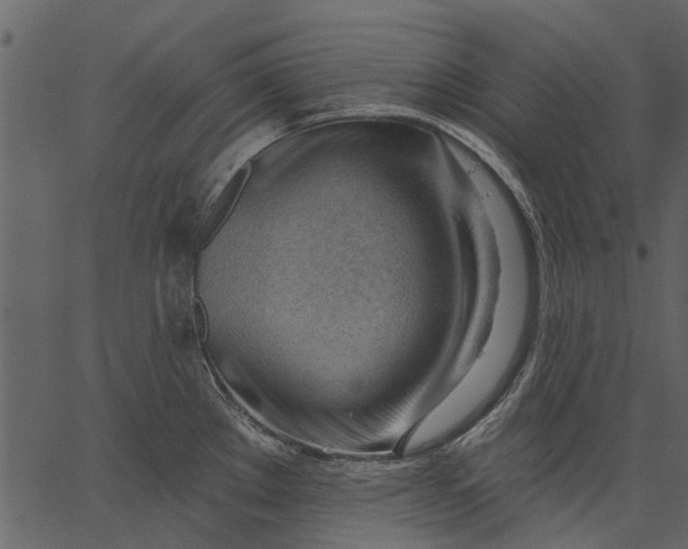 X0000062611289200601110959