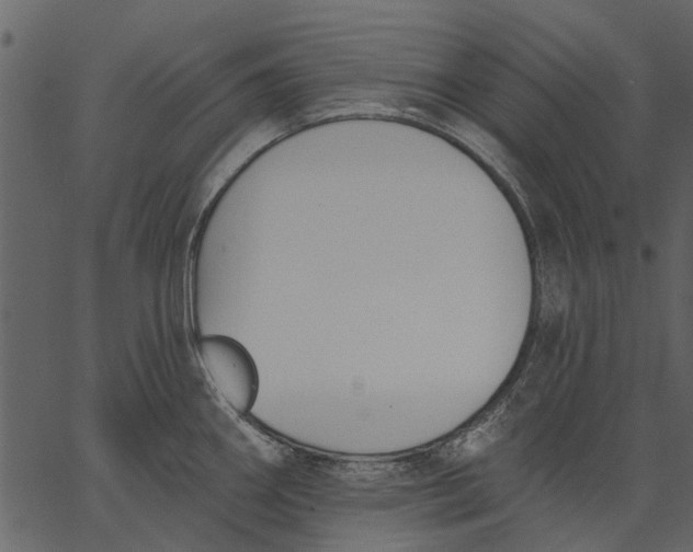 X0000062611290200601110959