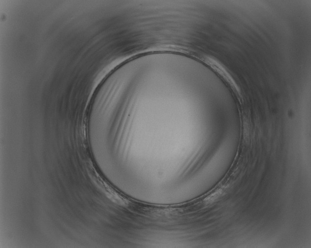 X0000062611292200601110959