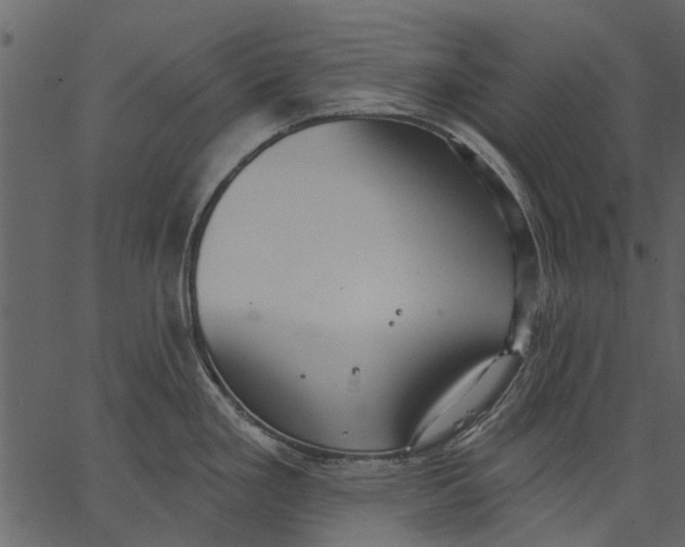 X0000062611293200601110959