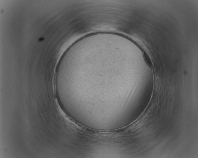 X0000062611295200601110959