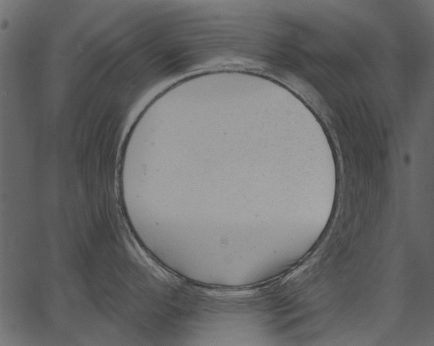 X0000062611296200601110959