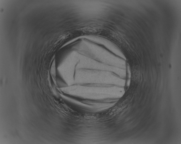 X0000062611297200601110958