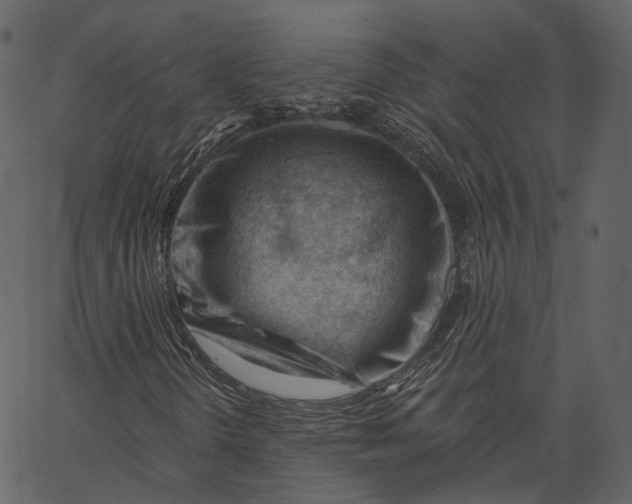 X0000062611298200601110958