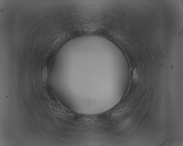 X0000062611299200601110958