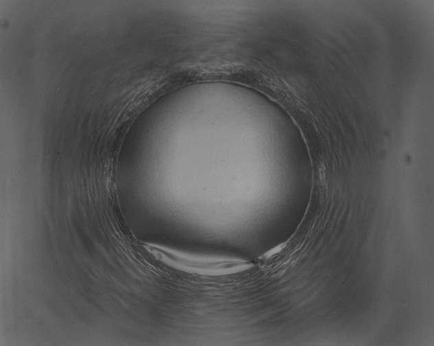 X0000062611300200601110958