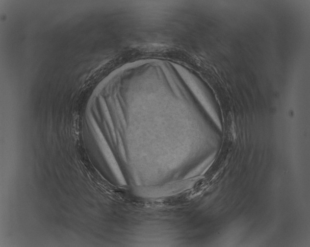 X0000062611301200601110958