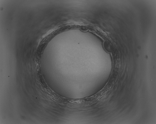 X0000062611303200601110958