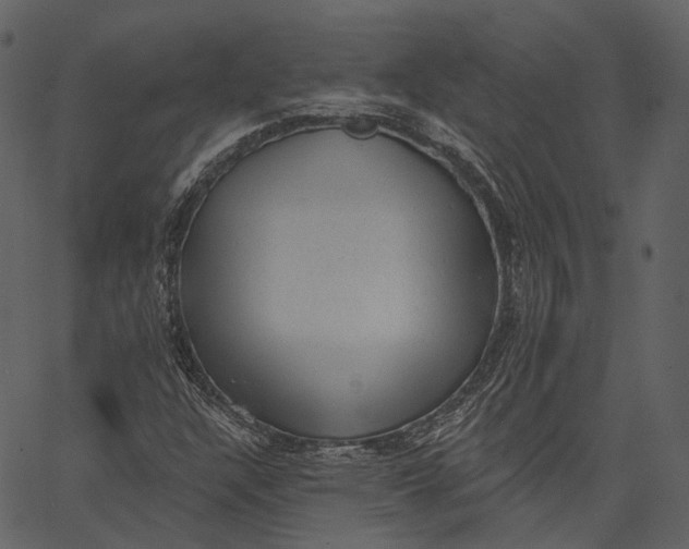 X0000062611304200601110958