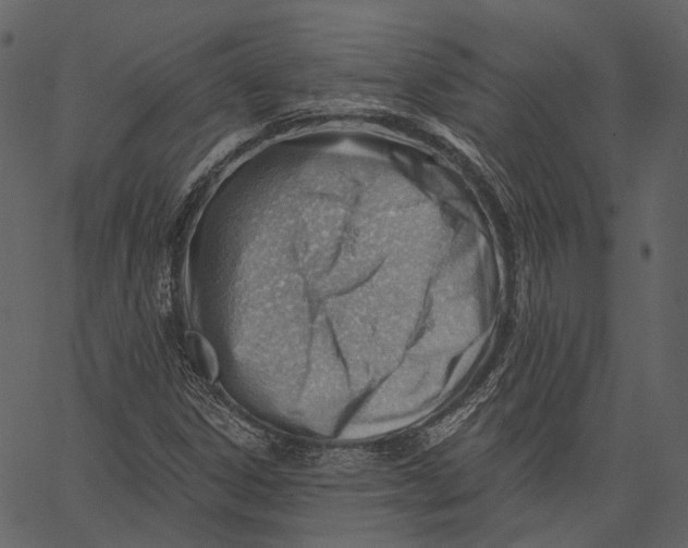 X0000062611306200601110958