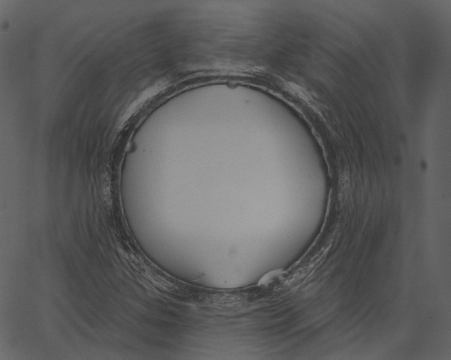 X0000062611307200601110958