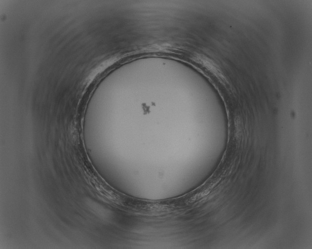 X0000062611308200601110958