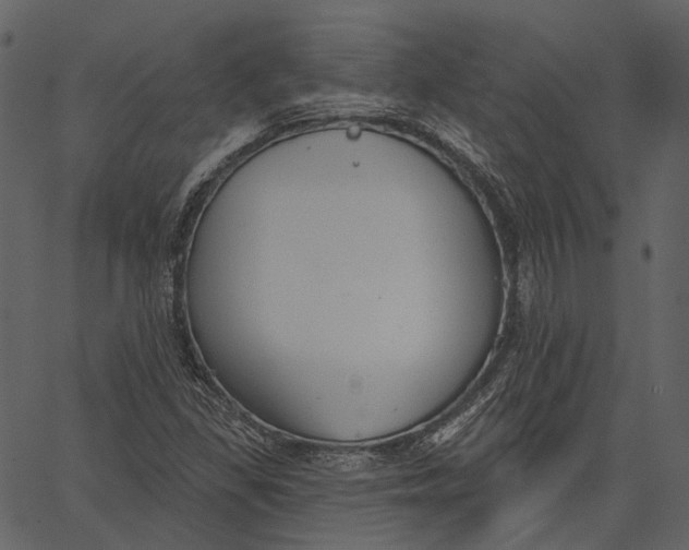 X0000062611309200601110958