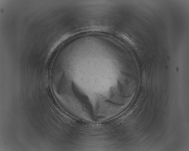 X0000062611310200601110958