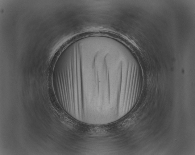 X0000062611311200601110958