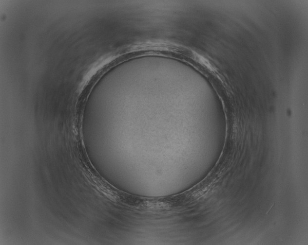 X0000062611312200601110958