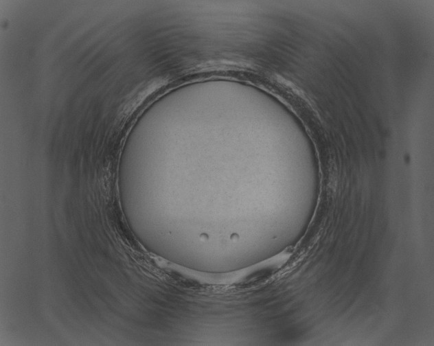 X0000062611313200601110958