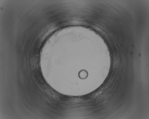 X0000062611314200601110958