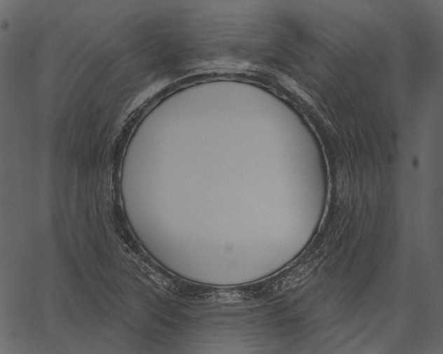 X0000062611315200601110958