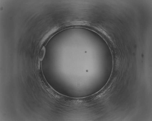 X0000062611317200601110958