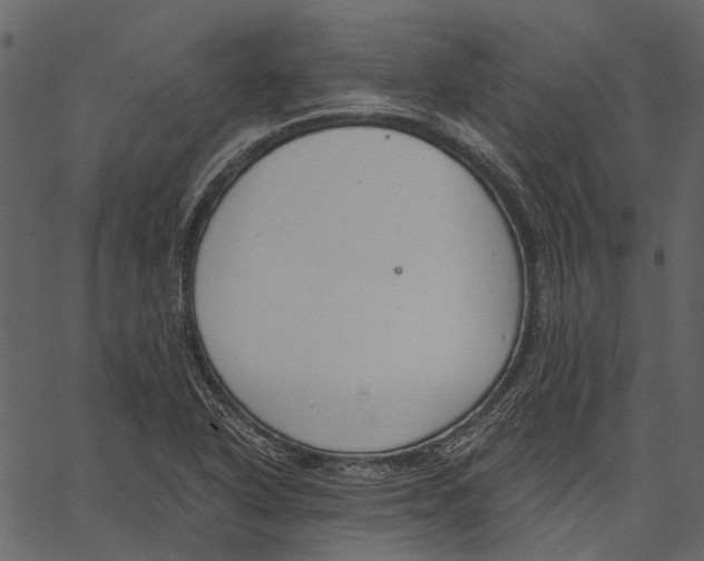 X0000062611318200601110958