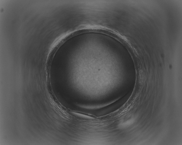 X0000062611319200601110958