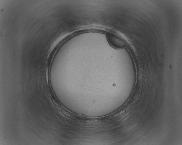 X0000062611320200601110958