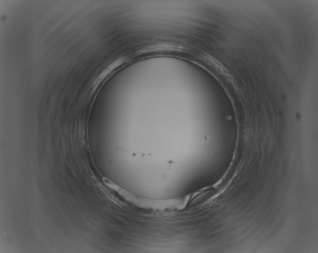 X0000062611321200601110958