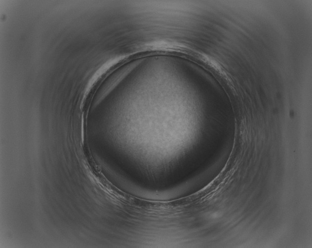 X0000062611323200601110958