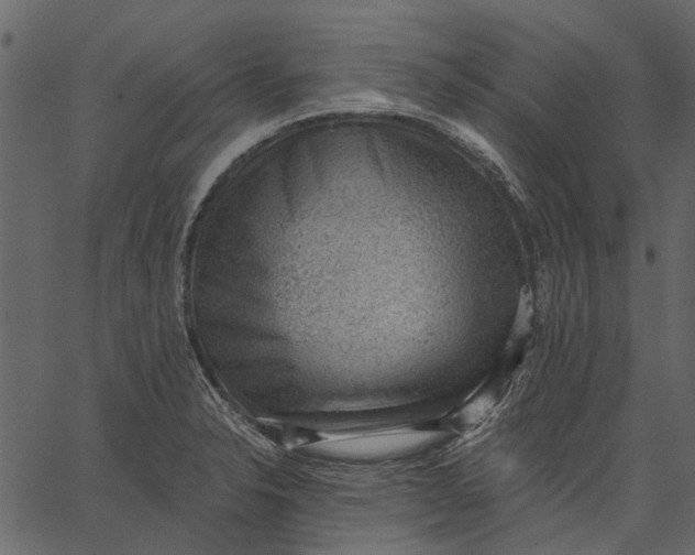 X0000062611326200601110958