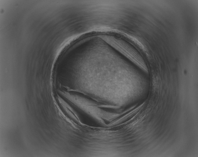 X0000062611327200601110958