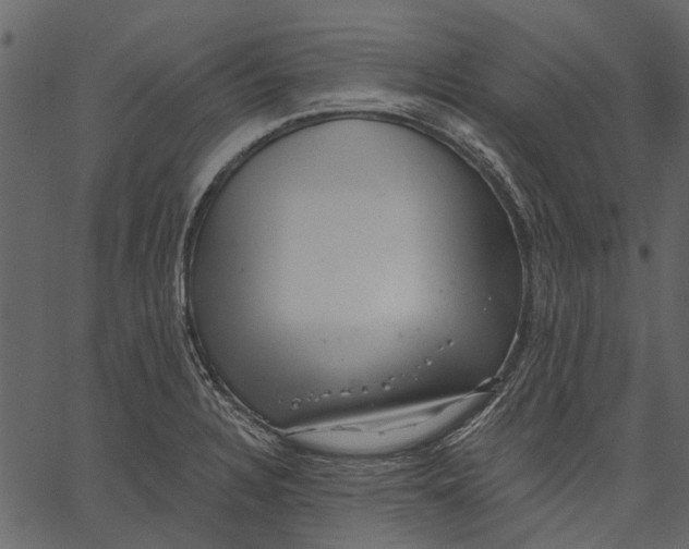 X0000062611328200601110958