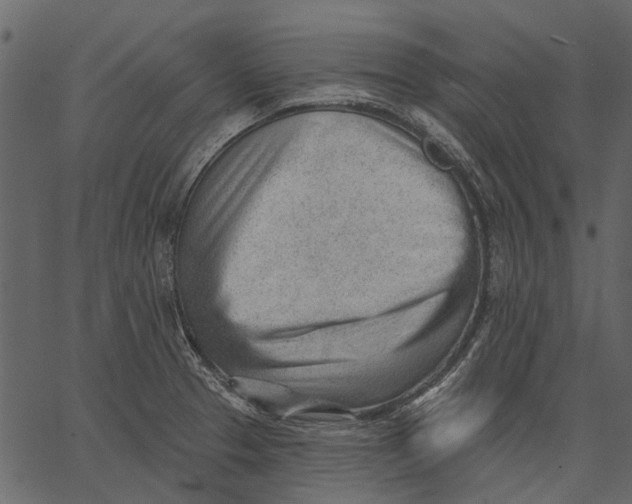 X0000062611329200601110958