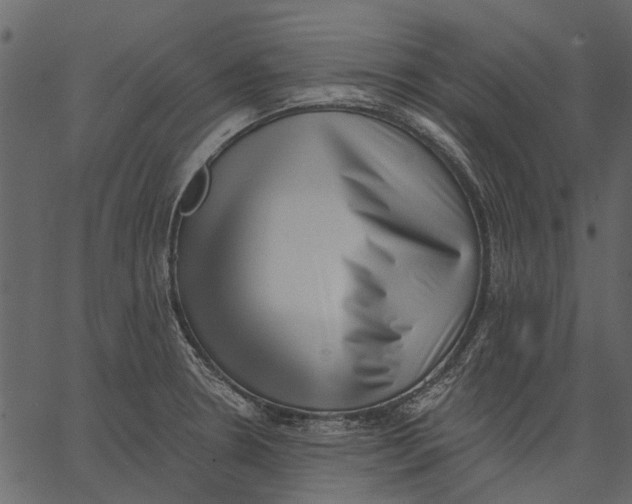 X0000062611330200601110958