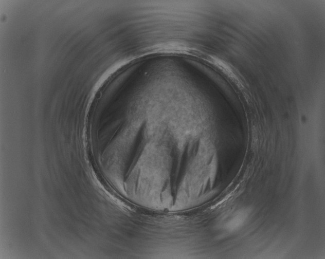 X0000062611331200601110958