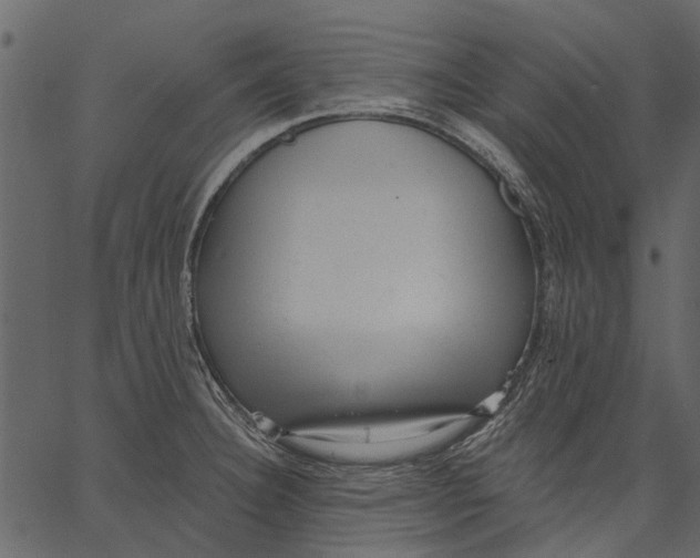 X0000062611332200601110958