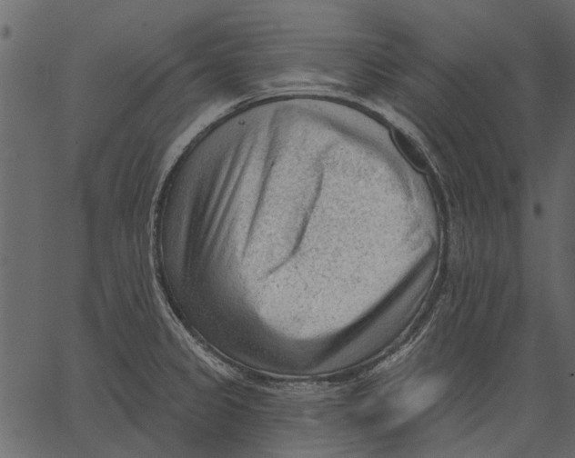 X0000062611333200601110958