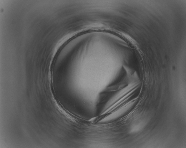 X0000062611335200601110958