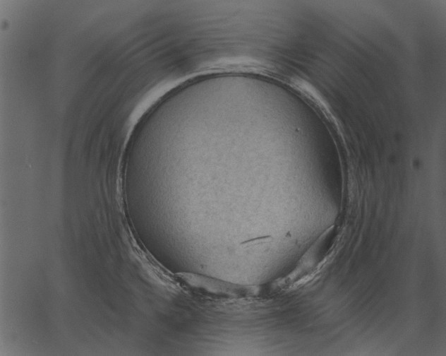 X0000062611336200601110958