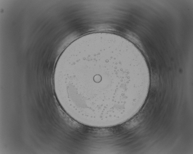 X0000062611338200601110958