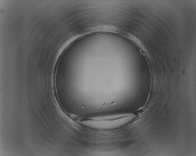 X0000062611339200601110958