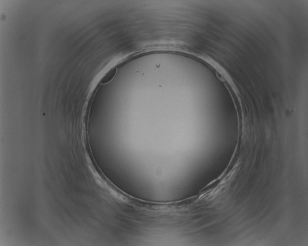 X0000062611341200601110958