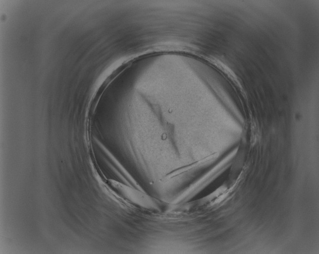 X0000062611342200601110959