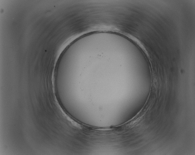 X0000062611343200601110959