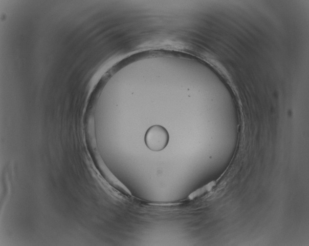 X0000062611344200601110959