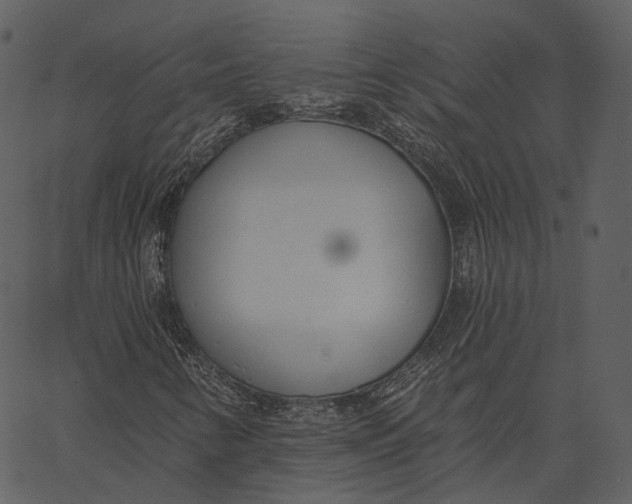 X0000062611346200601110958