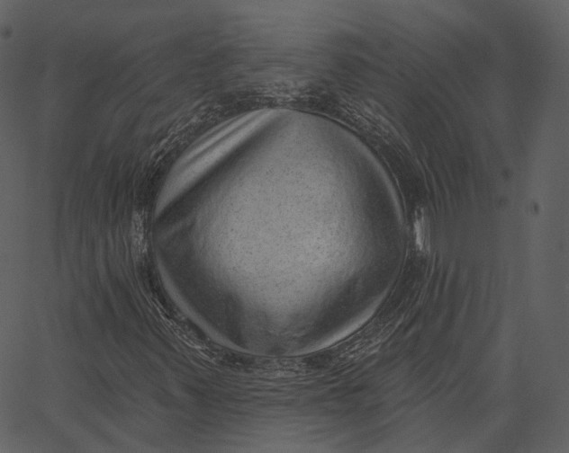 X0000062611347200601110958