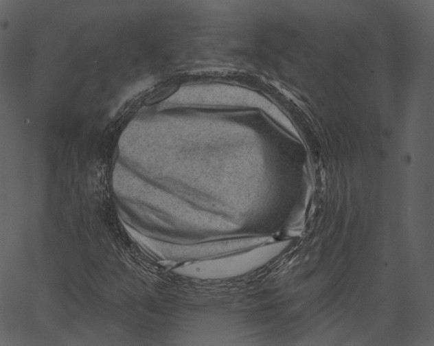 X0000062611351200601110958