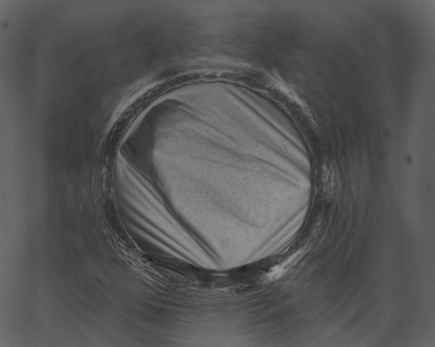 X0000062611352200601110958