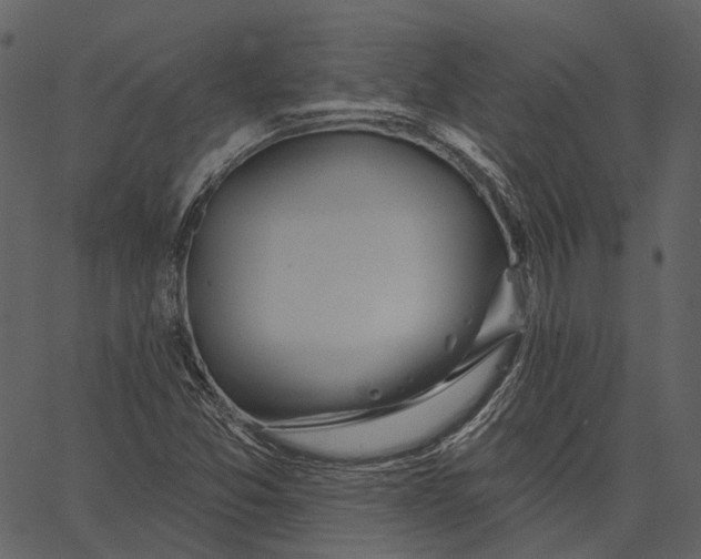 X0000062611357200601110958